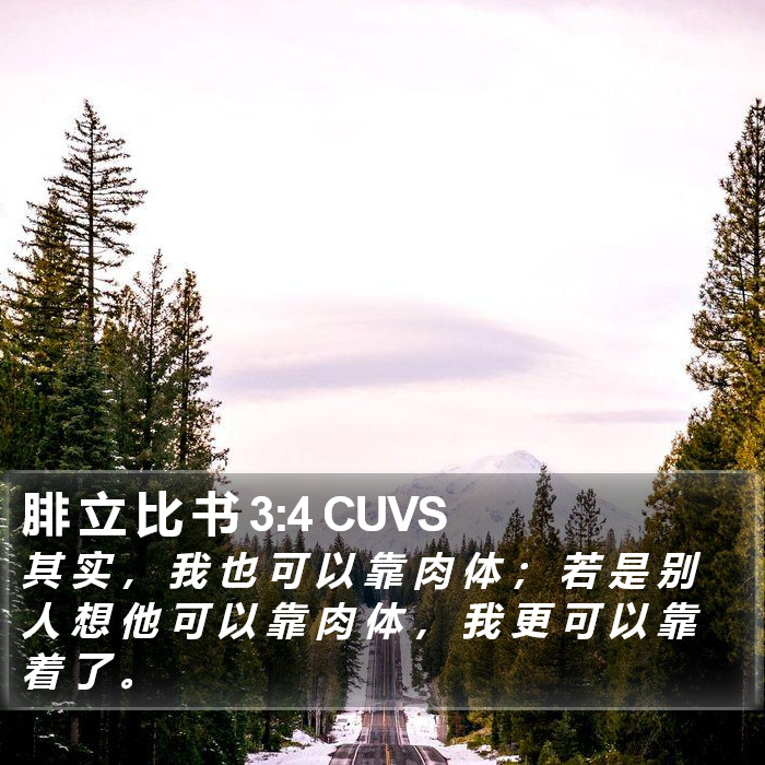 腓 立 比 书 3:4 CUVS Bible Study