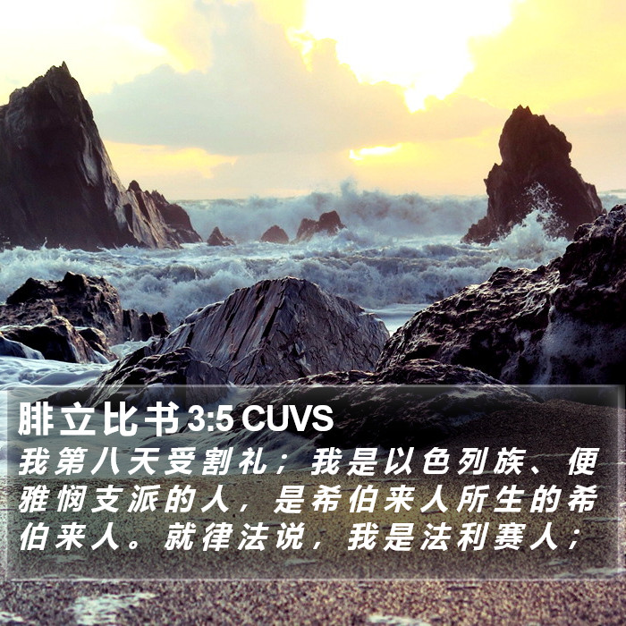 腓 立 比 书 3:5 CUVS Bible Study
