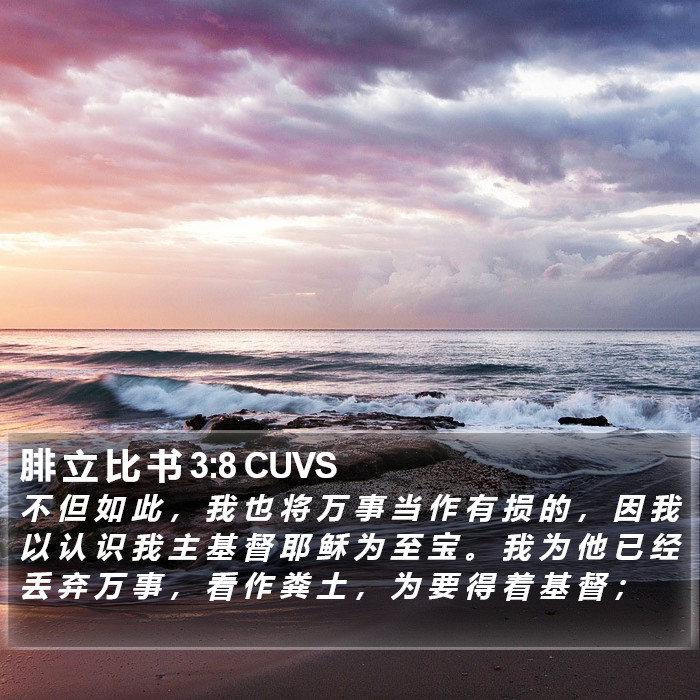 腓 立 比 书 3:8 CUVS Bible Study