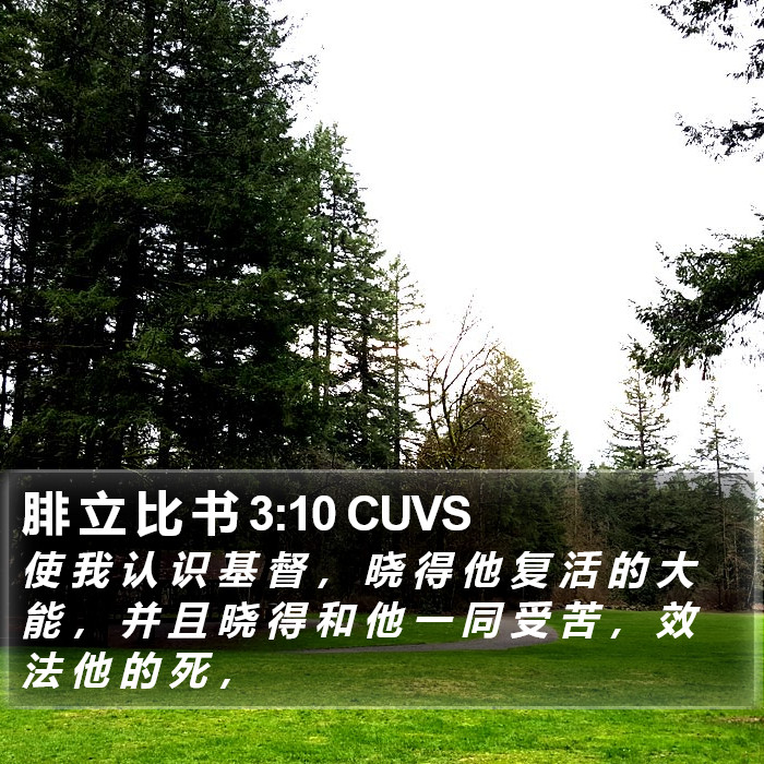 腓 立 比 书 3:10 CUVS Bible Study