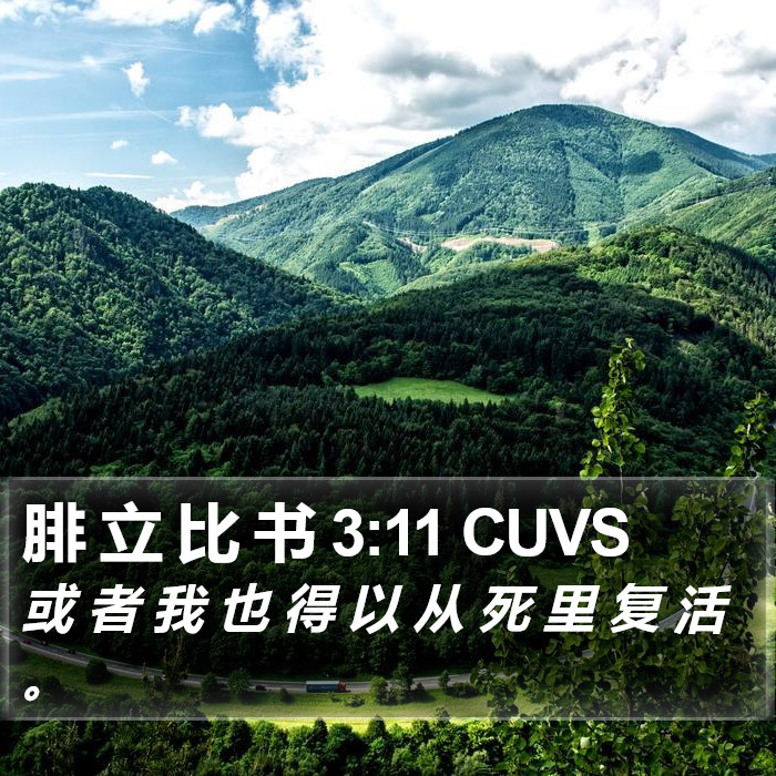 腓 立 比 书 3:11 CUVS Bible Study
