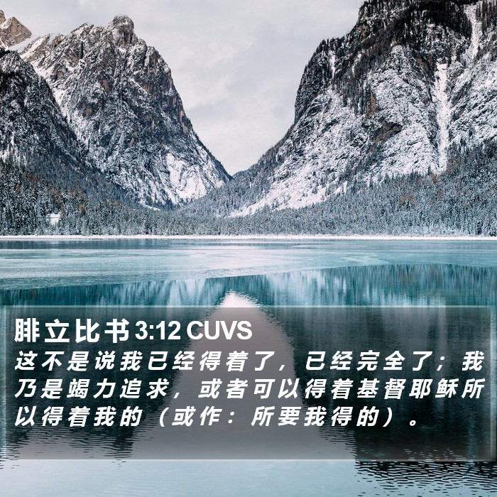 腓 立 比 书 3:12 CUVS Bible Study