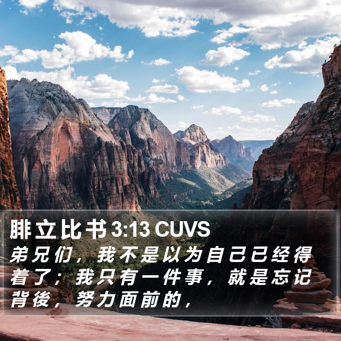 腓 立 比 书 3:13 CUVS Bible Study