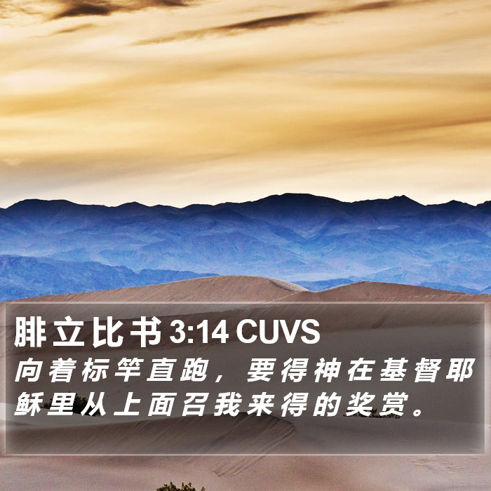 腓 立 比 书 3:14 CUVS Bible Study