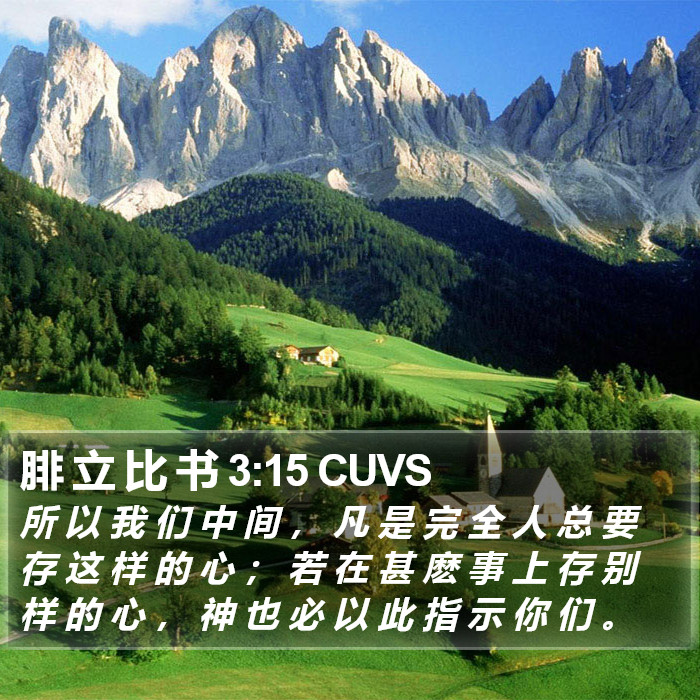 腓 立 比 书 3:15 CUVS Bible Study