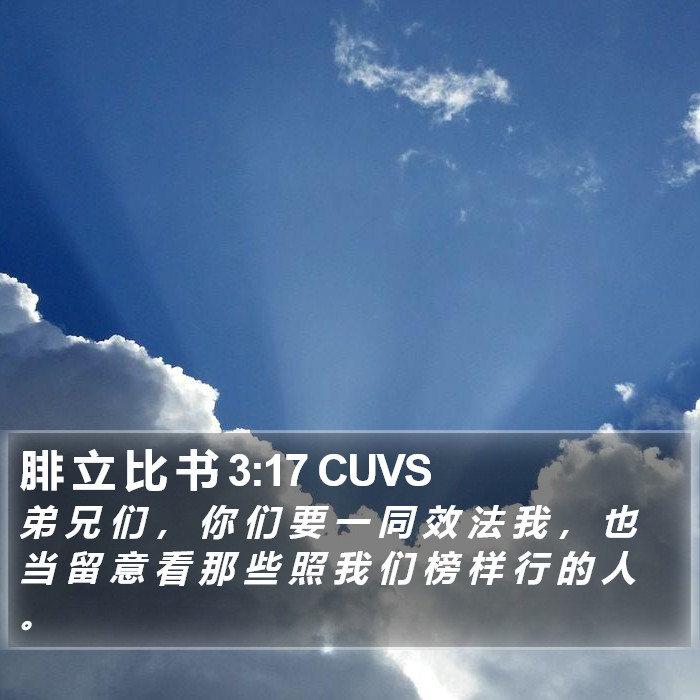 腓 立 比 书 3:17 CUVS Bible Study