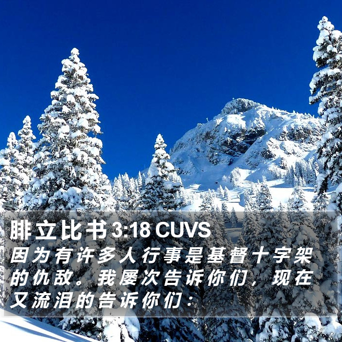 腓 立 比 书 3:18 CUVS Bible Study
