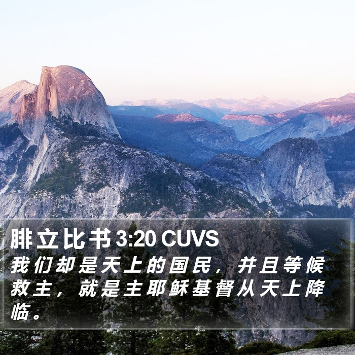 腓 立 比 书 3:20 CUVS Bible Study