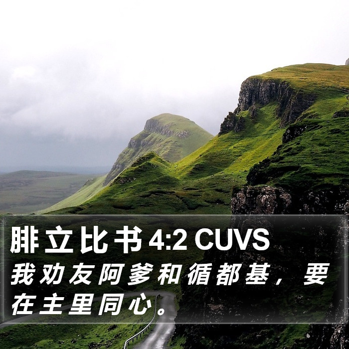 腓 立 比 书 4:2 CUVS Bible Study