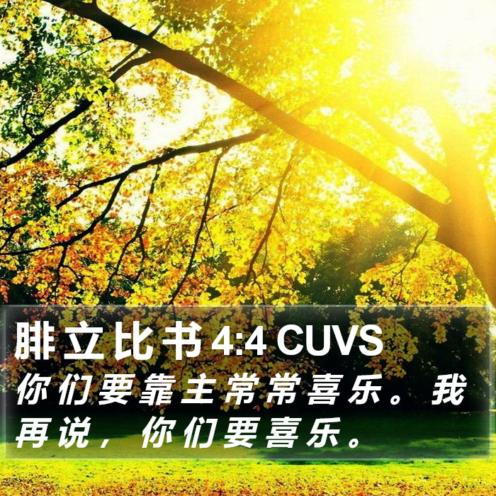 腓 立 比 书 4:4 CUVS Bible Study