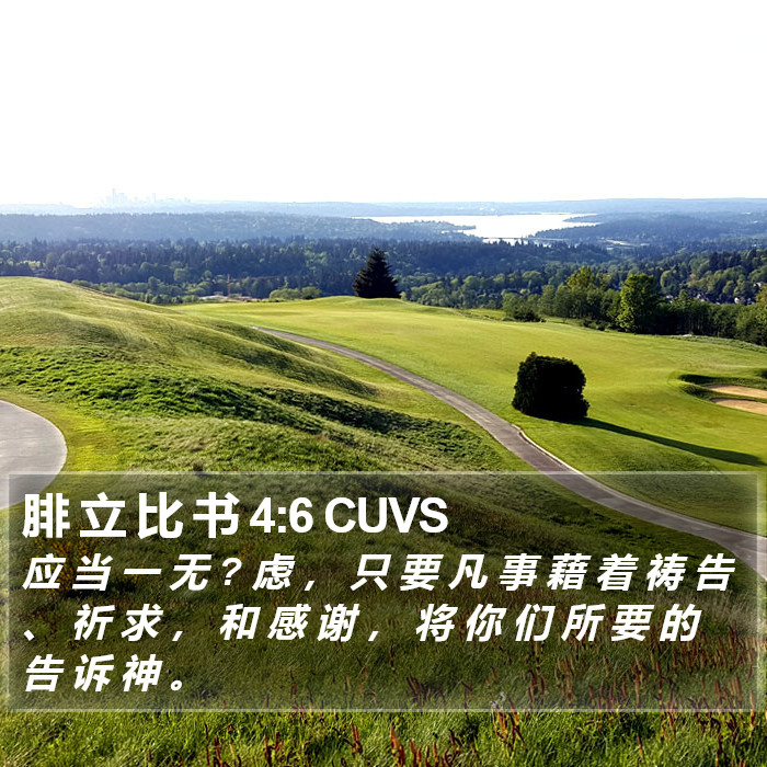 腓 立 比 书 4:6 CUVS Bible Study