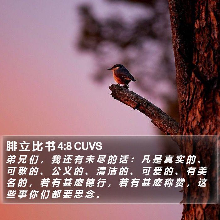 腓 立 比 书 4:8 CUVS Bible Study