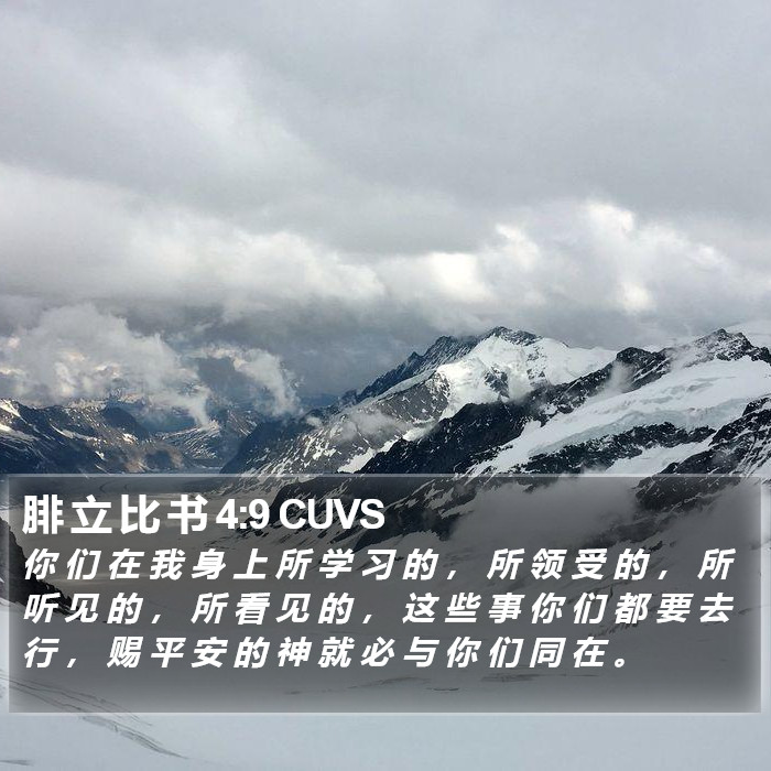 腓 立 比 书 4:9 CUVS Bible Study