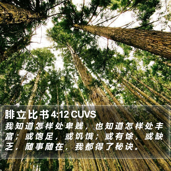 腓 立 比 书 4:12 CUVS Bible Study