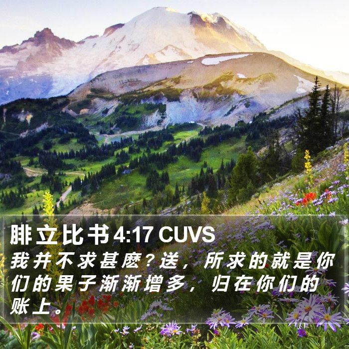 腓 立 比 书 4:17 CUVS Bible Study