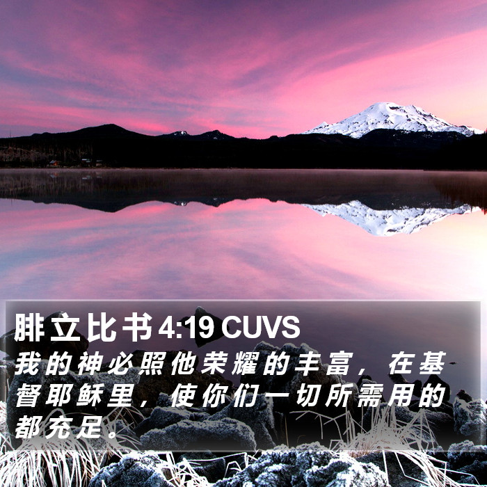 腓 立 比 书 4:19 CUVS Bible Study