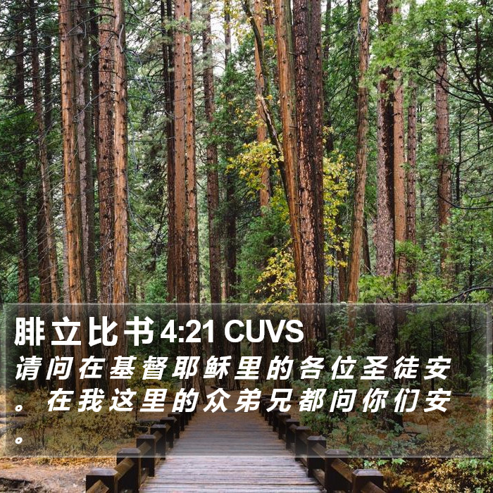 腓 立 比 书 4:21 CUVS Bible Study