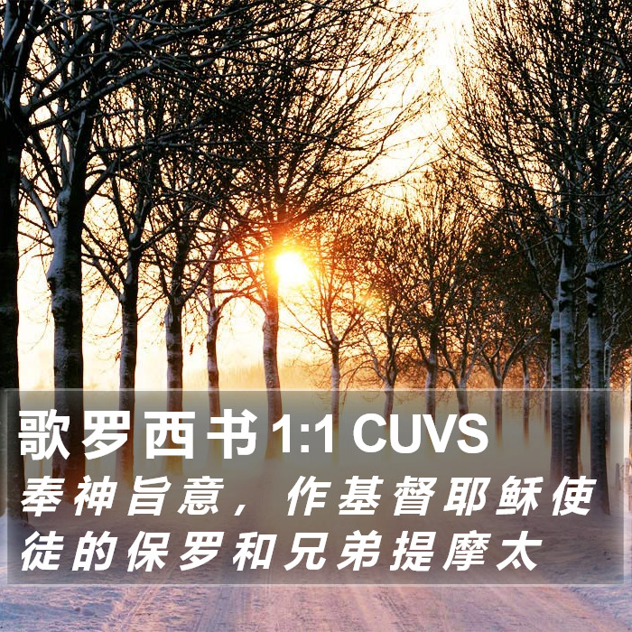 歌 罗 西 书 1:1 CUVS Bible Study