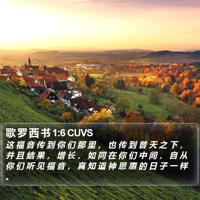 歌 罗 西 书 1:6 CUVS Bible Study