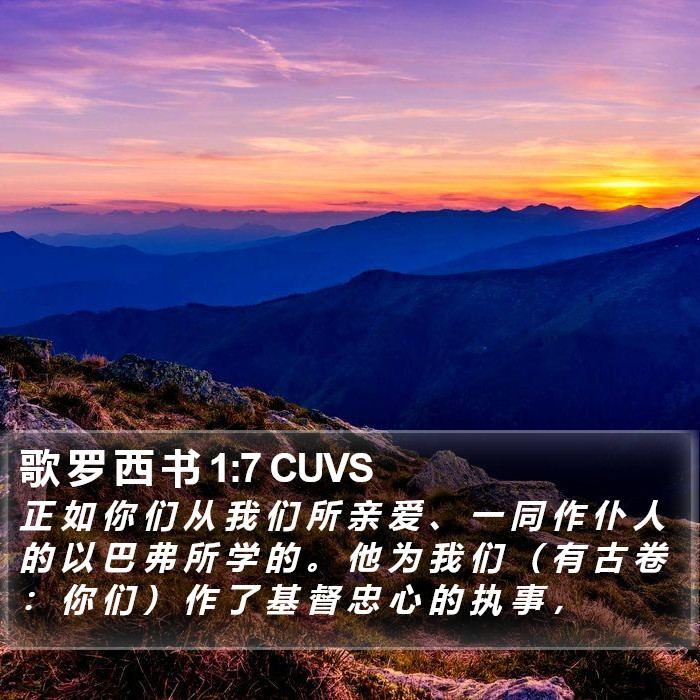 歌 罗 西 书 1:7 CUVS Bible Study