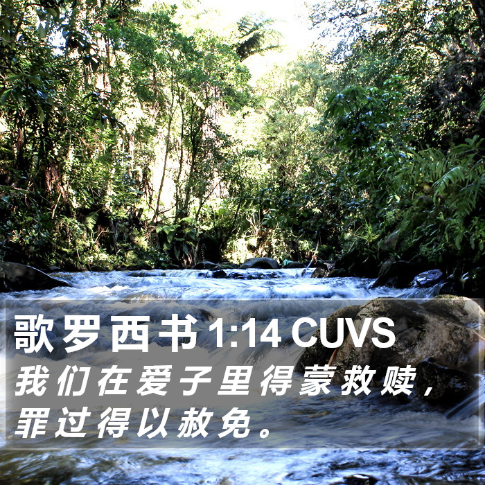 歌 罗 西 书 1:14 CUVS Bible Study