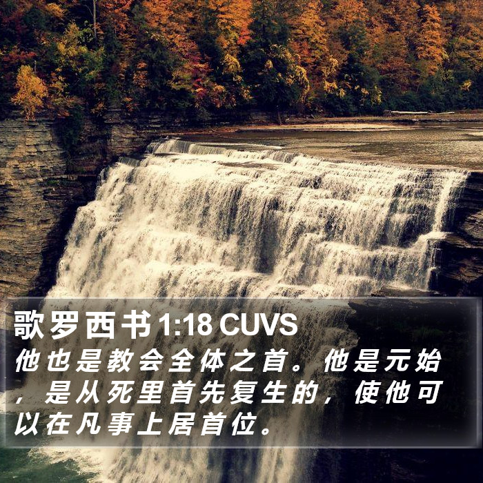 歌 罗 西 书 1:18 CUVS Bible Study