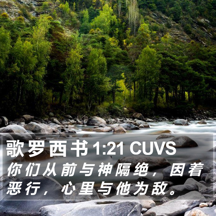 歌 罗 西 书 1:21 CUVS Bible Study