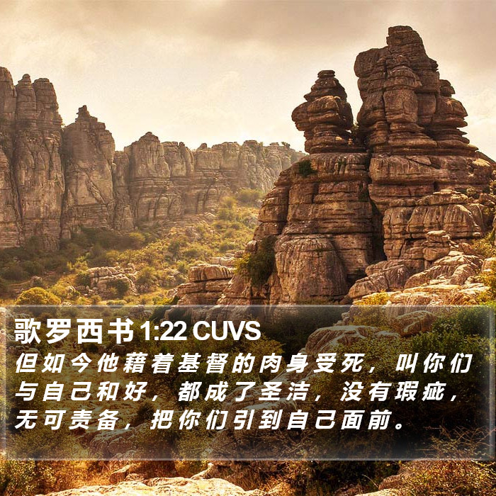 歌 罗 西 书 1:22 CUVS Bible Study