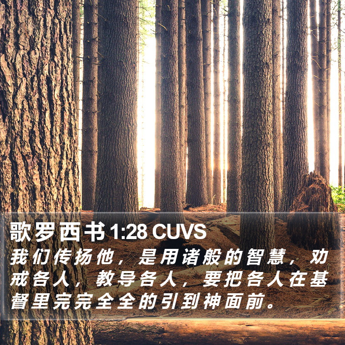 歌 罗 西 书 1:28 CUVS Bible Study