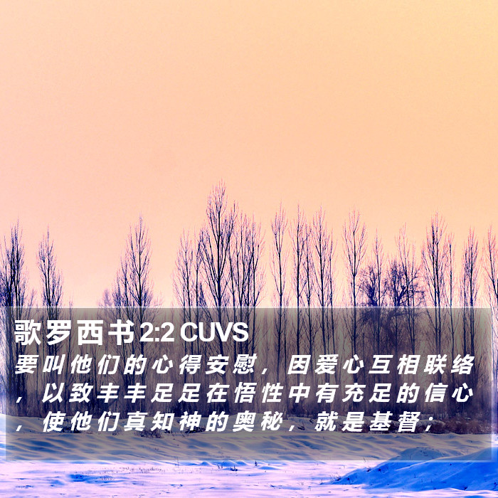 歌 罗 西 书 2:2 CUVS Bible Study