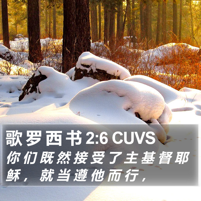 歌 罗 西 书 2:6 CUVS Bible Study