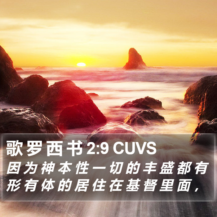 歌 罗 西 书 2:9 CUVS Bible Study