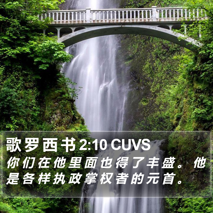 歌 罗 西 书 2:10 CUVS Bible Study