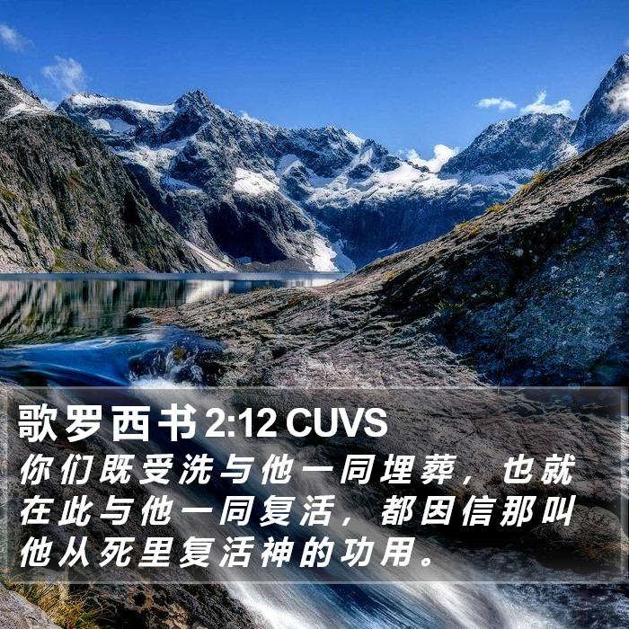 歌 罗 西 书 2:12 CUVS Bible Study