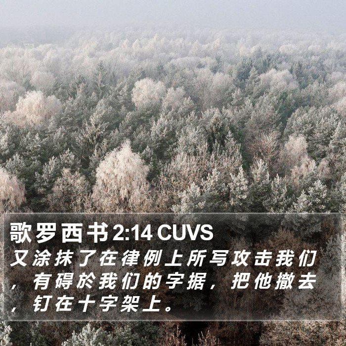 歌 罗 西 书 2:14 CUVS Bible Study