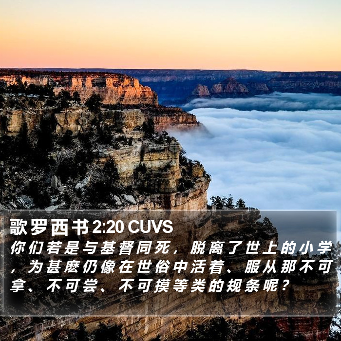 歌 罗 西 书 2:20 CUVS Bible Study