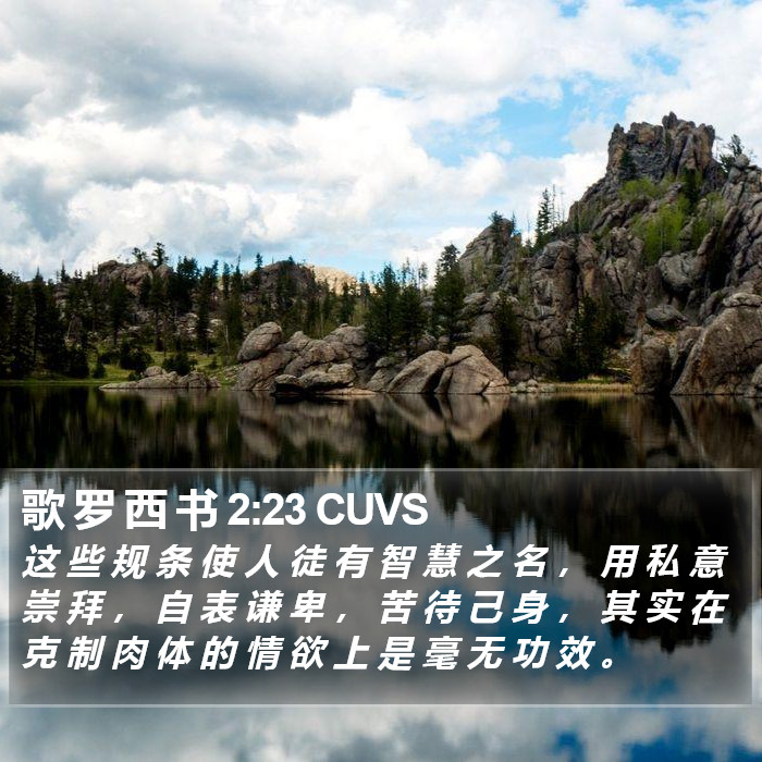 歌 罗 西 书 2:23 CUVS Bible Study