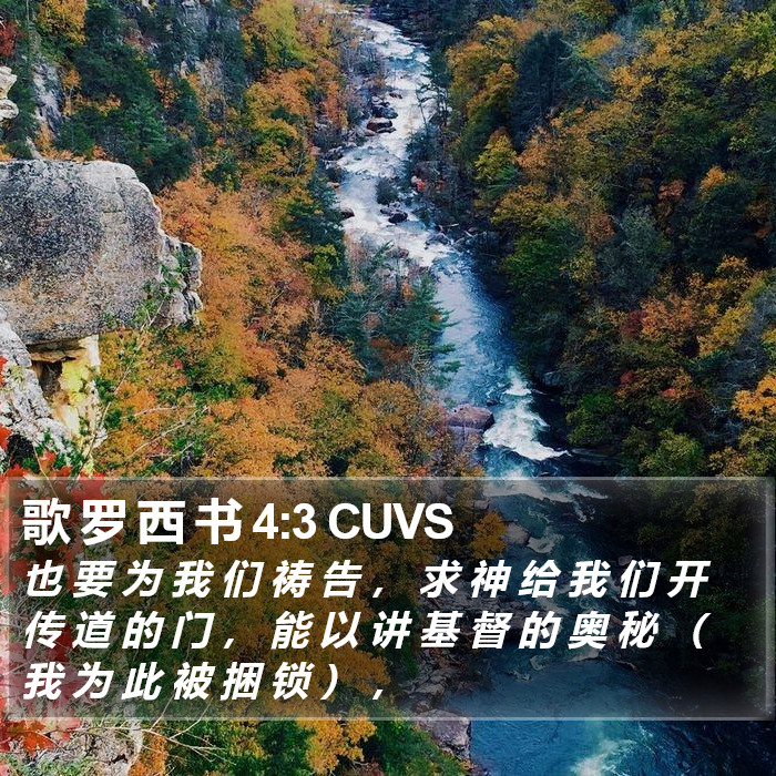 歌 罗 西 书 4:3 CUVS Bible Study