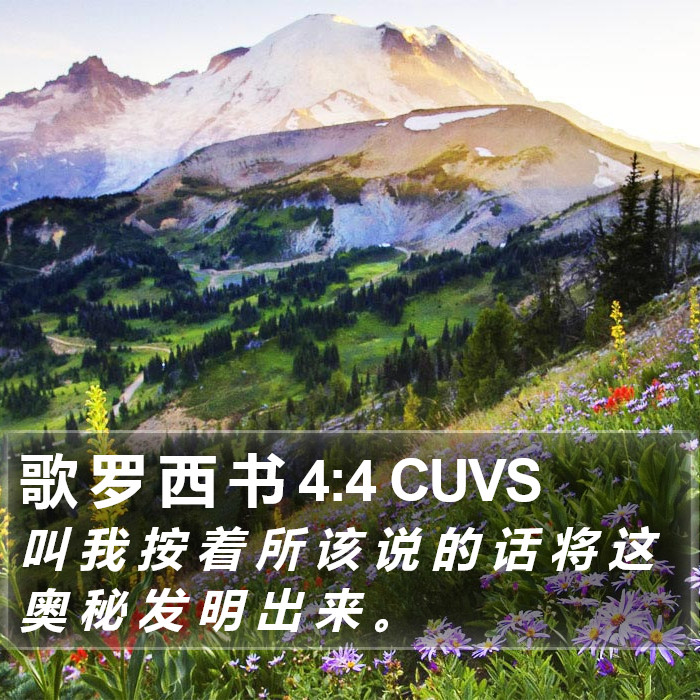 歌 罗 西 书 4:4 CUVS Bible Study