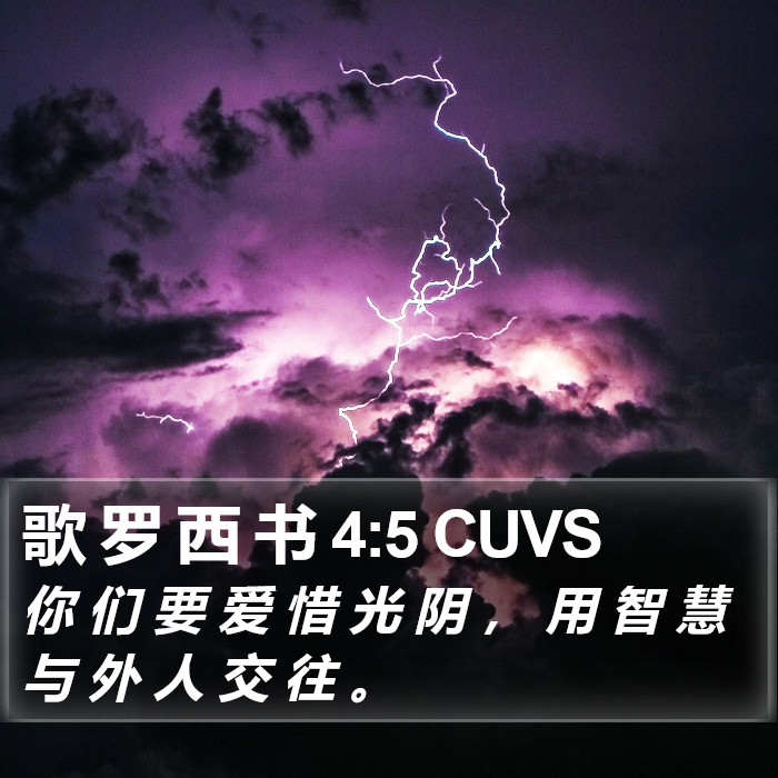 歌 罗 西 书 4:5 CUVS Bible Study