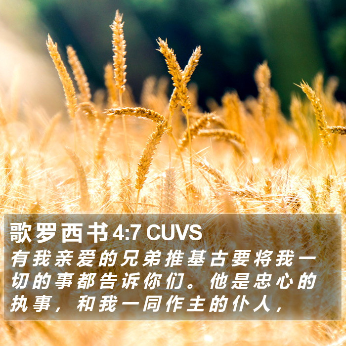 歌 罗 西 书 4:7 CUVS Bible Study