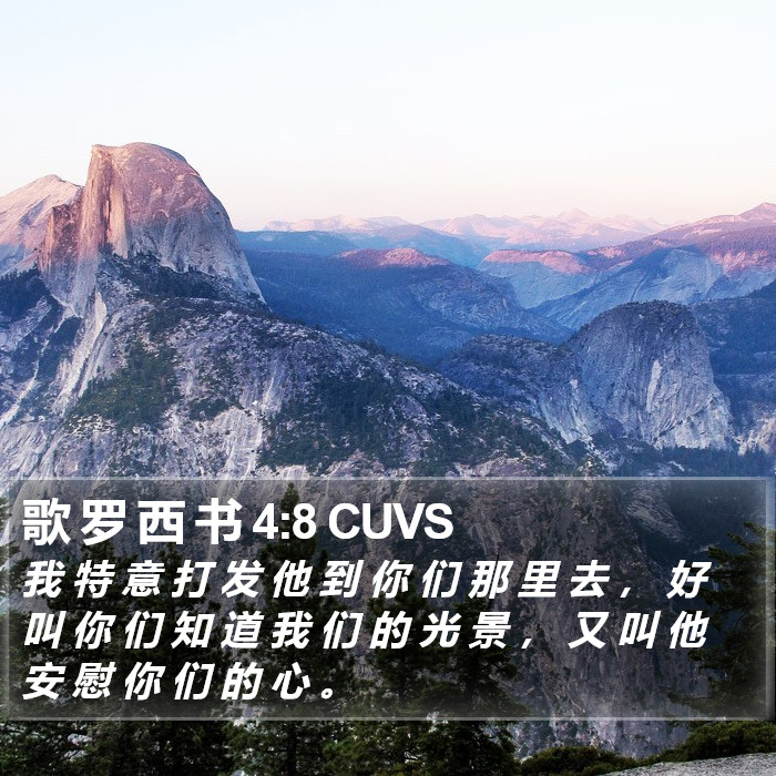 歌 罗 西 书 4:8 CUVS Bible Study