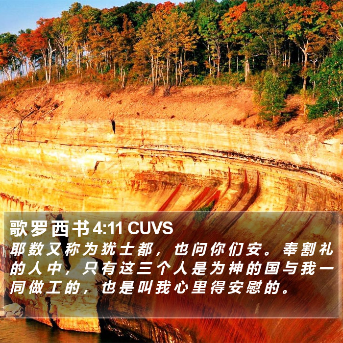 歌 罗 西 书 4:11 CUVS Bible Study