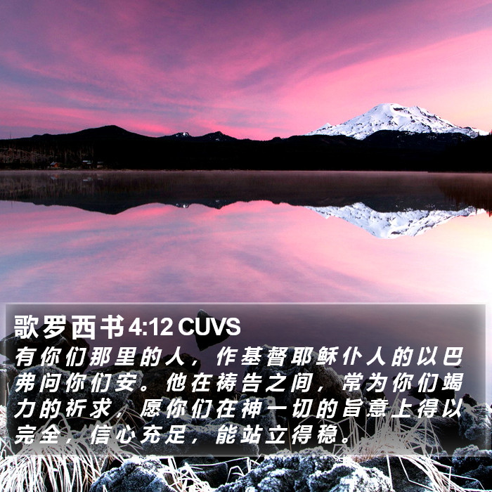 歌 罗 西 书 4:12 CUVS Bible Study