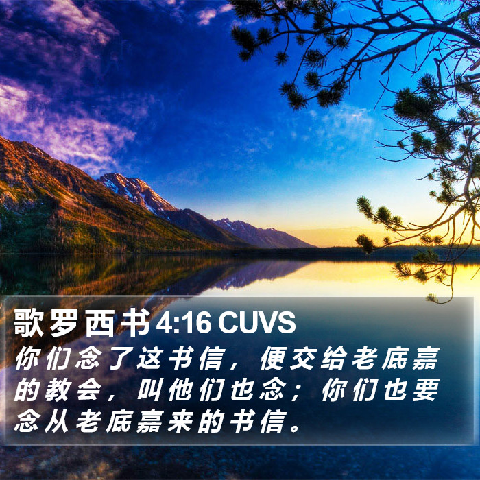 歌 罗 西 书 4:16 CUVS Bible Study