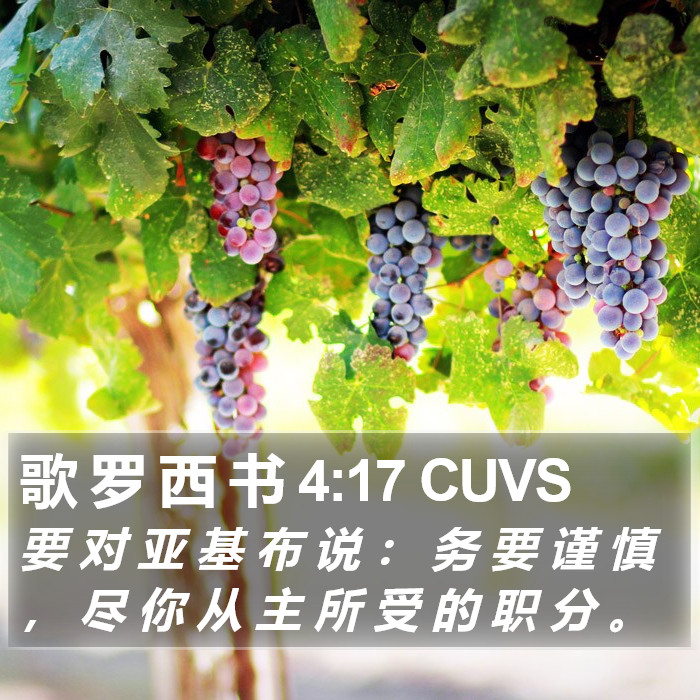 歌 罗 西 书 4:17 CUVS Bible Study