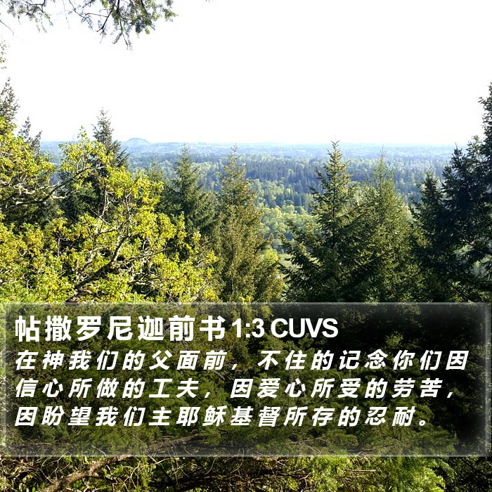 帖 撒 罗 尼 迦 前 书 1:3 CUVS Bible Study