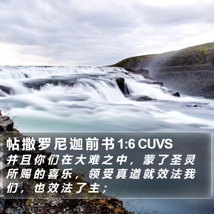 帖 撒 罗 尼 迦 前 书 1:6 CUVS Bible Study