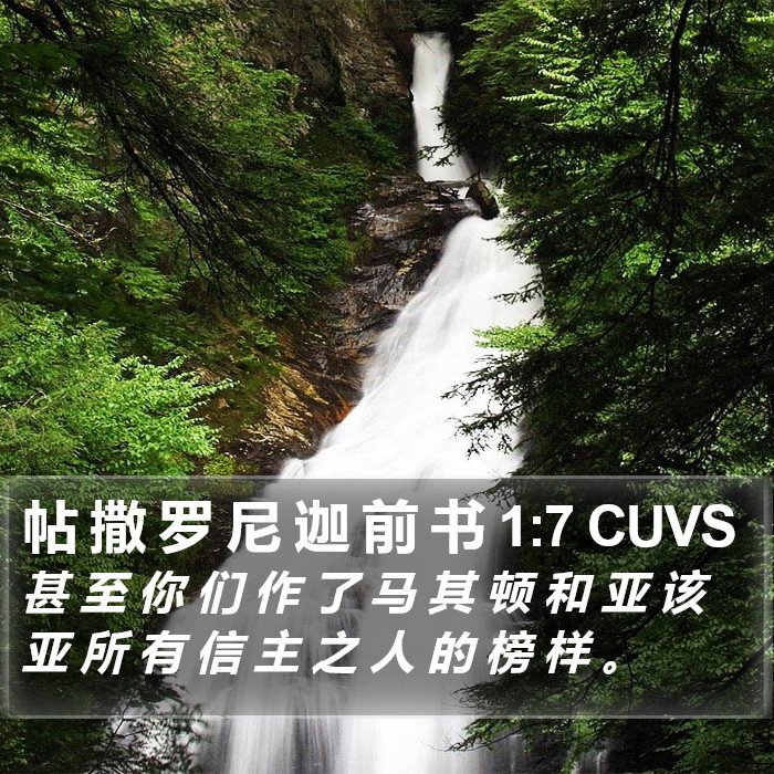 帖 撒 罗 尼 迦 前 书 1:7 CUVS Bible Study