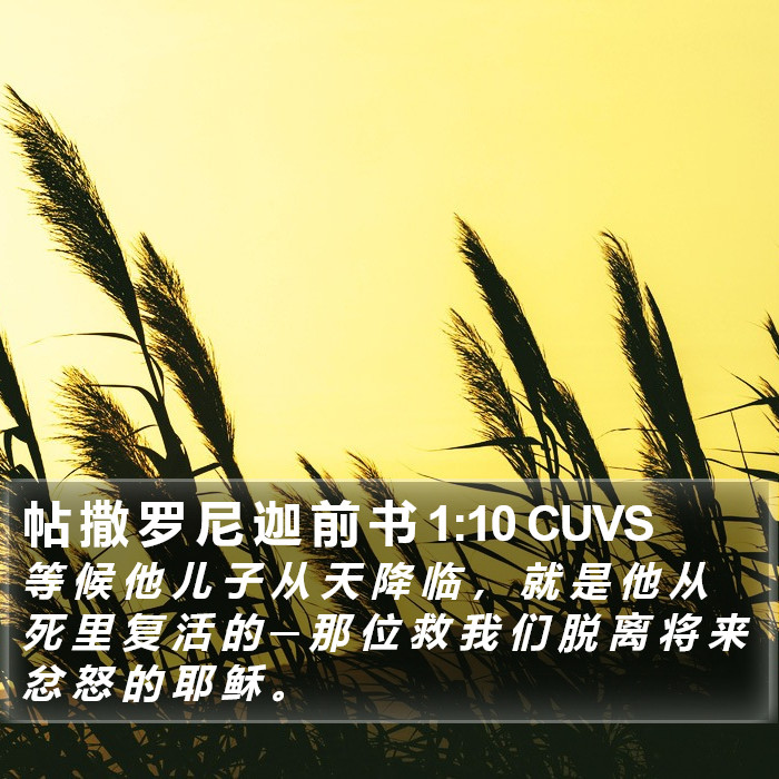 帖 撒 罗 尼 迦 前 书 1:10 CUVS Bible Study